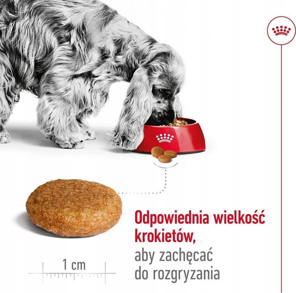 Sausas Šunų Maistas - Royal Canin Shn Medium Adult 15kg