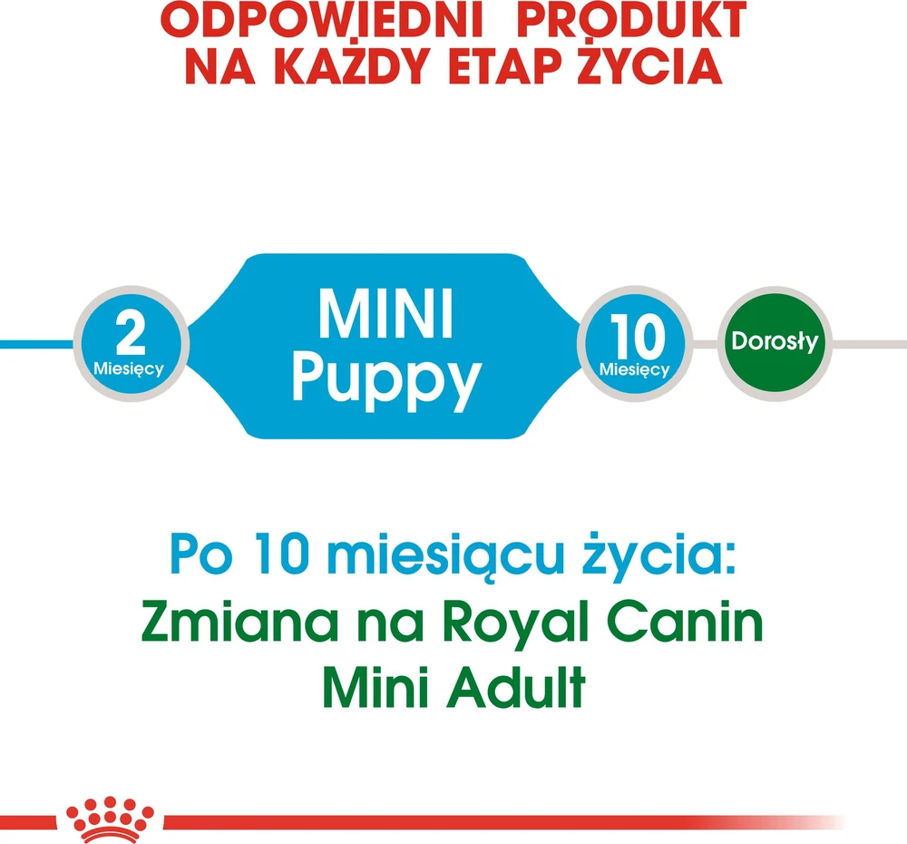 Royal Canin Mini Junior 8kg