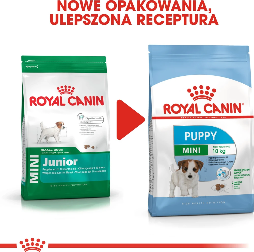Royal Canin Mini Junior 8kg