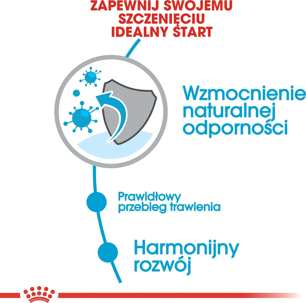 Royal Canin Mini Junior 8kg