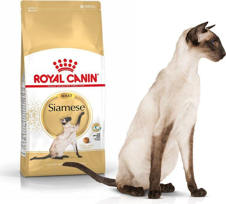 Royal Canin Siamo suaugusiems 2kg