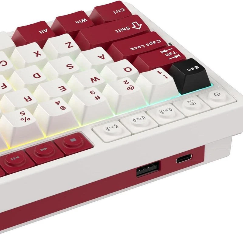 Royal Kludge M65 RGB Famicom klaviatūra | 60%, karšto keitimo, kreminės spalvos jungikliai, JAV