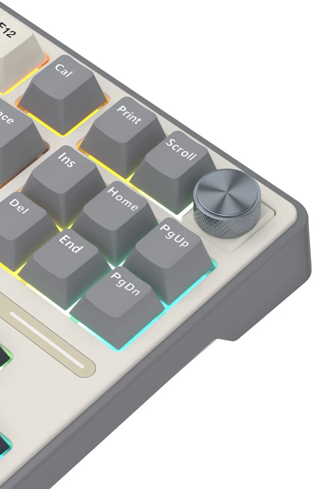 Royal Kludge RK R87 Pro - US išdėstymas - Hot-Swappable Brown Switches - Pilkas (Pilka) Mechaninė Žaidimų Klaviatūra
