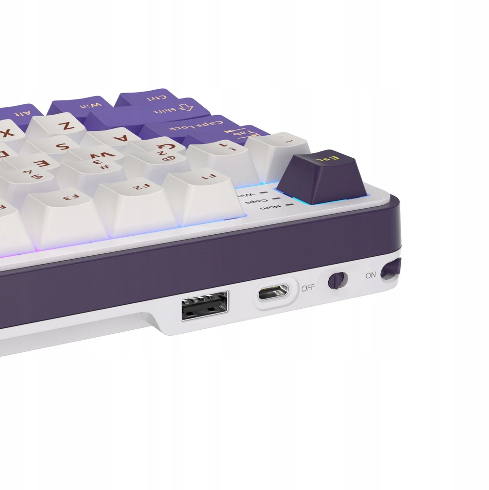 „Royal Kludge RK-S98 RGB Blackberry“ klaviatūra | 96%, karšto keitimo, žalios spalvos jungikliai, JAV