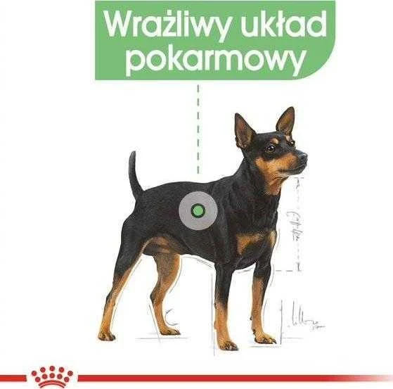 Royal Canin Royal Rojus šunims sasz. 85g DIGESTIVE CARE