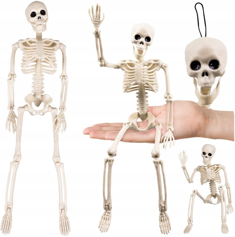 Skeletas - dekoracija 40cm Ruhhy 26027