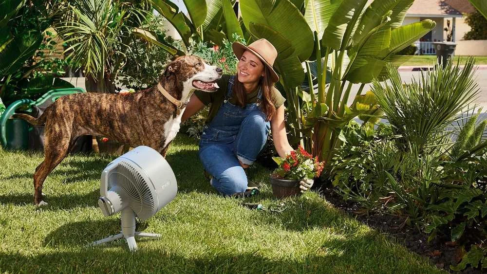 Drėkintuvas Pastatomas ventiliatorius Shark FA220EU, 36 W