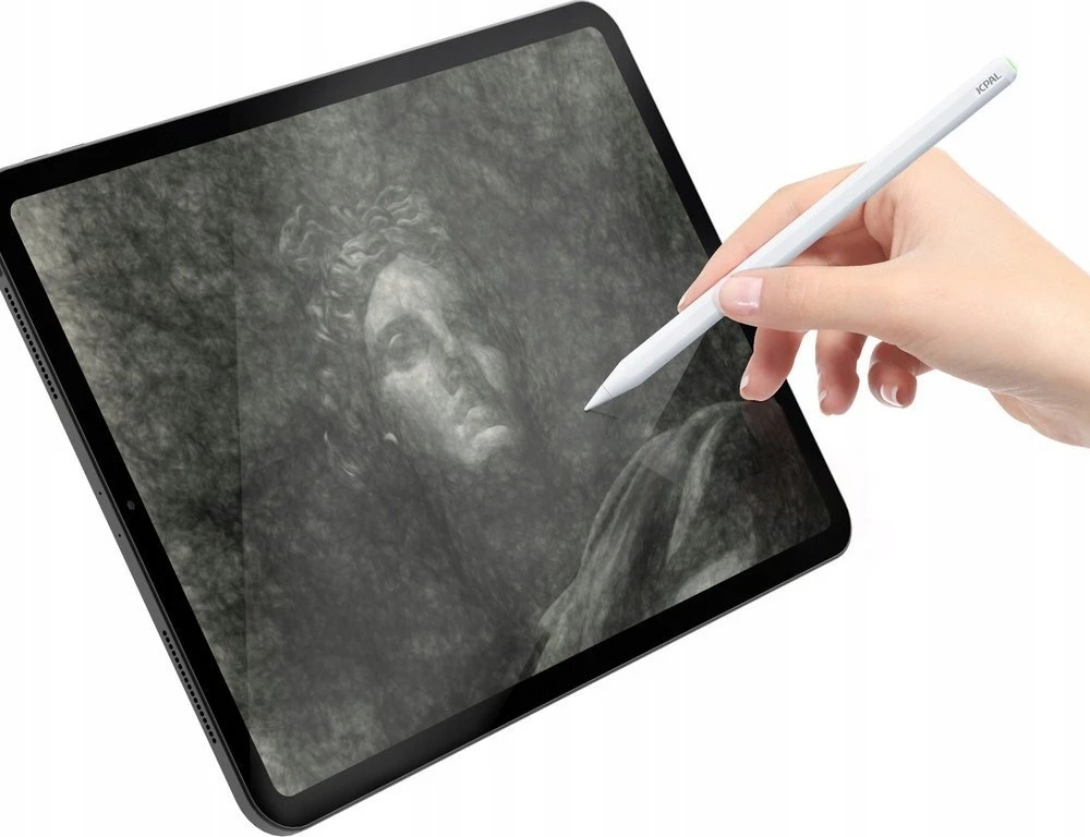 Rysik JCPAL ACCUPEN DUO MAGNETIC STYLUS + CABLE