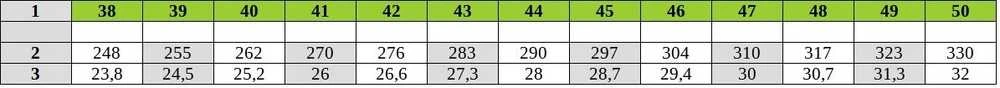 Vyriški darbo batai ARDON G3404, juodos/žalios sp., 45 dydis
