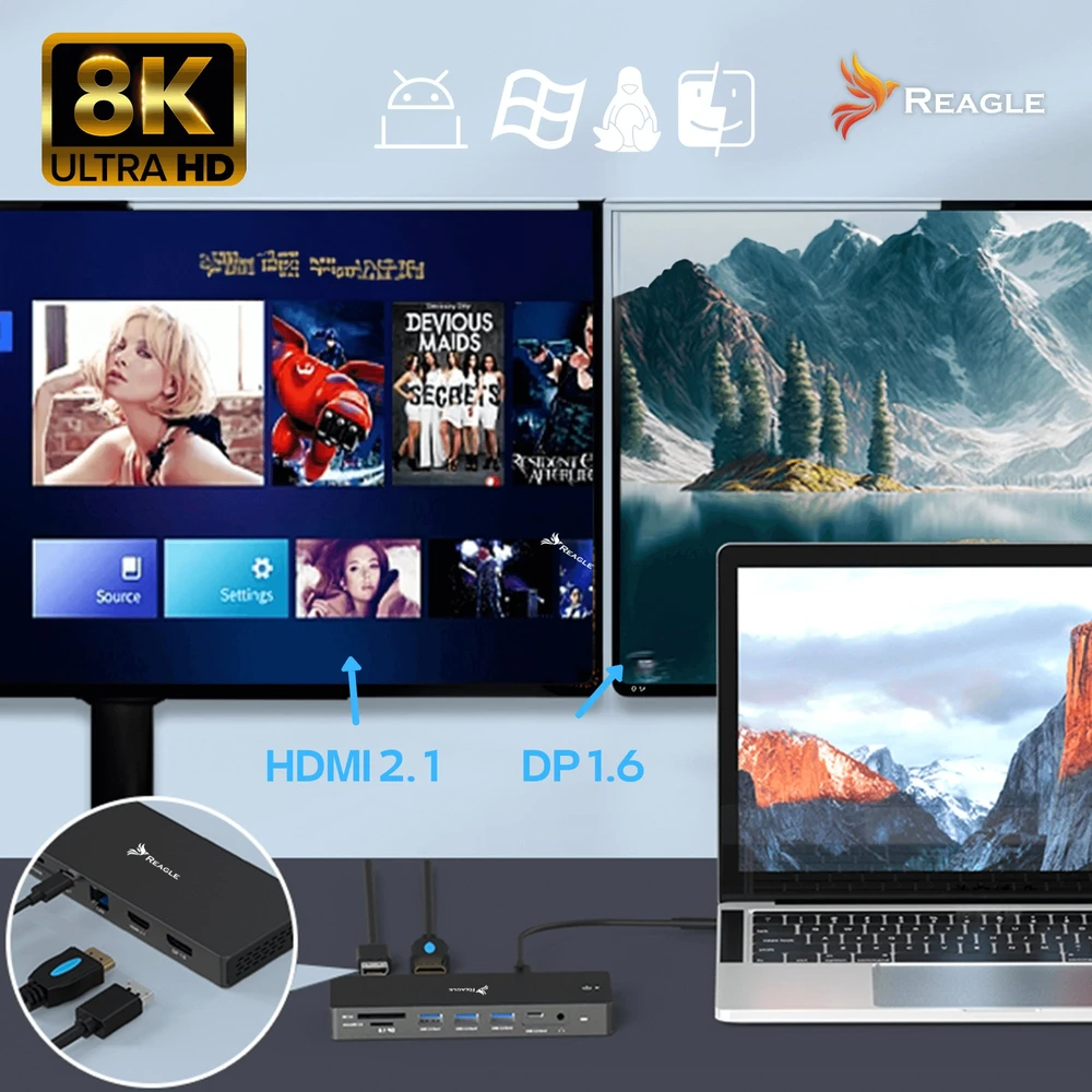 Šakotuvas Stotis / replikatorius Triton REAGLE USB-C (RHUB93C)