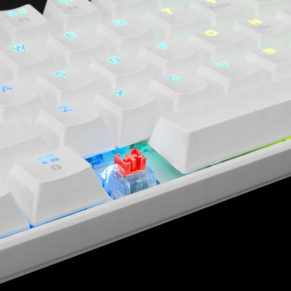 White Shark Mėlyna Klaviatūra žaidimams Baltas Shark Shinobi Mėlyna su laidu mechaninė su pašvietimu balta