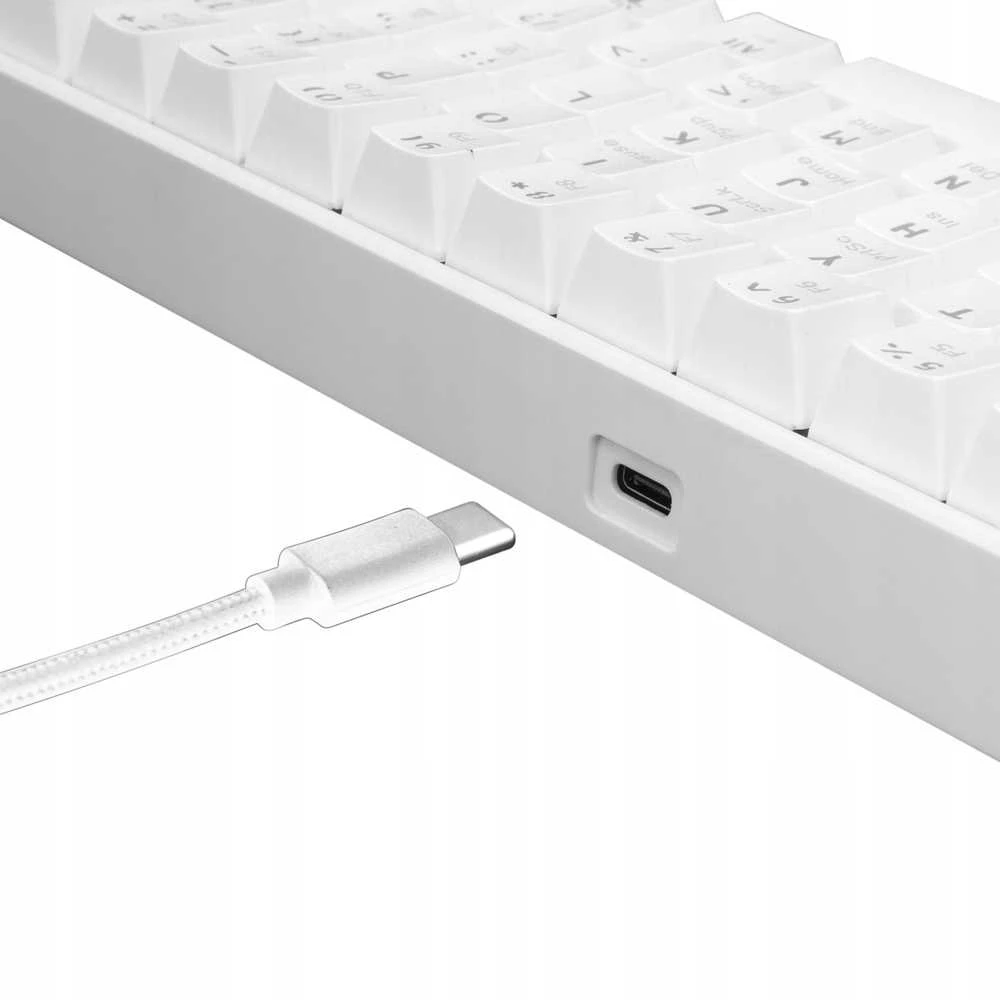 White Shark Mėlyna Klaviatūra žaidimams Baltas Shark Shinobi Mėlyna su laidu mechaninė su pašvietimu balta