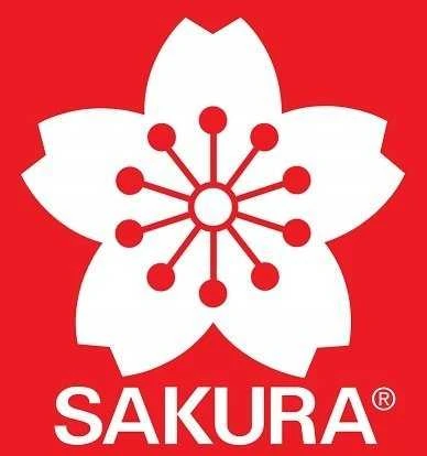 Sakura Marker Paint with medium tip, baltas