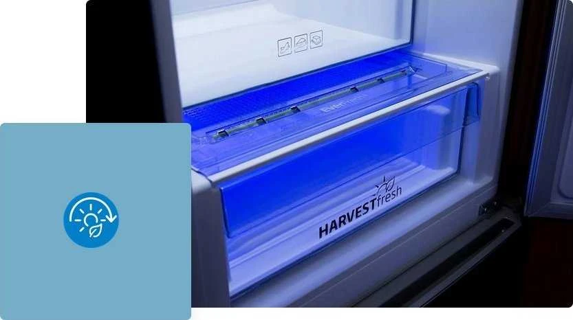 Šaldytuvas Beko BCNA254E43SN (Nemokamas pristatymas)