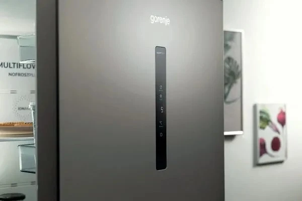 Šaldytuvas GORENJE N619EAXL4