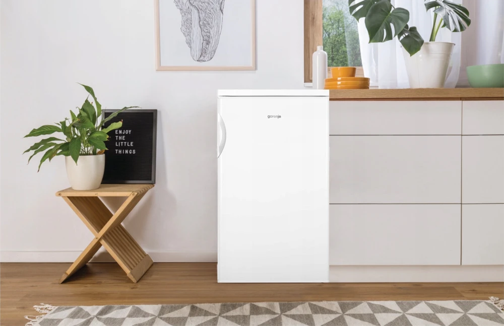 Šaldytuvas Gorenje RB492PW