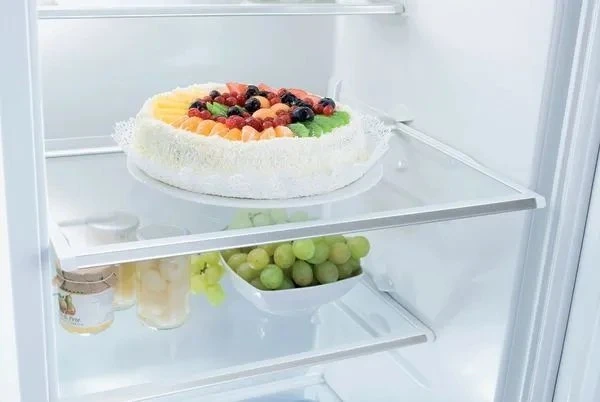 Šaldytuvas Gorenje RB493PW baltas