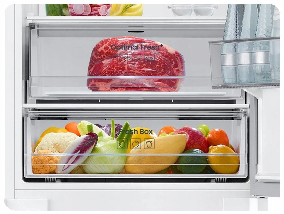 Įmontuojamas šaldytuvas Samsung BRB80F26CEF0EO