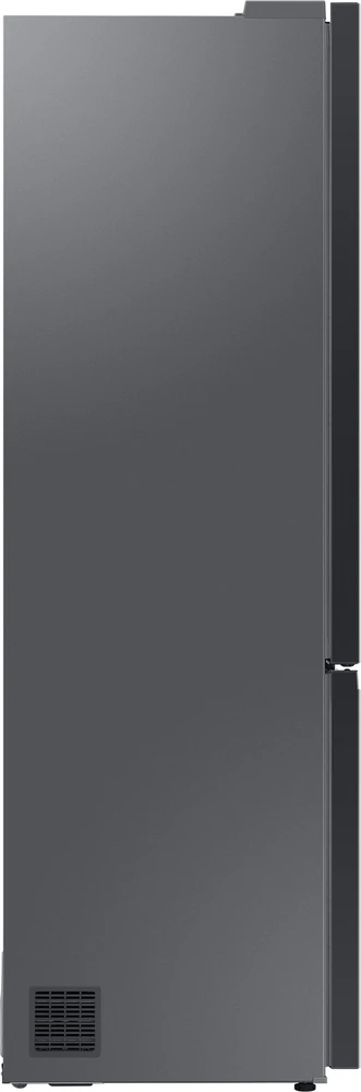 Šaldytuvas Samsung RB38C7B6CS9/EF
