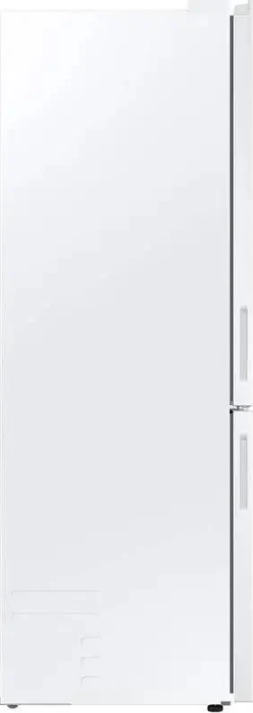 Šaldytuvas Samsung Šaldytuvas RB33B610EWW