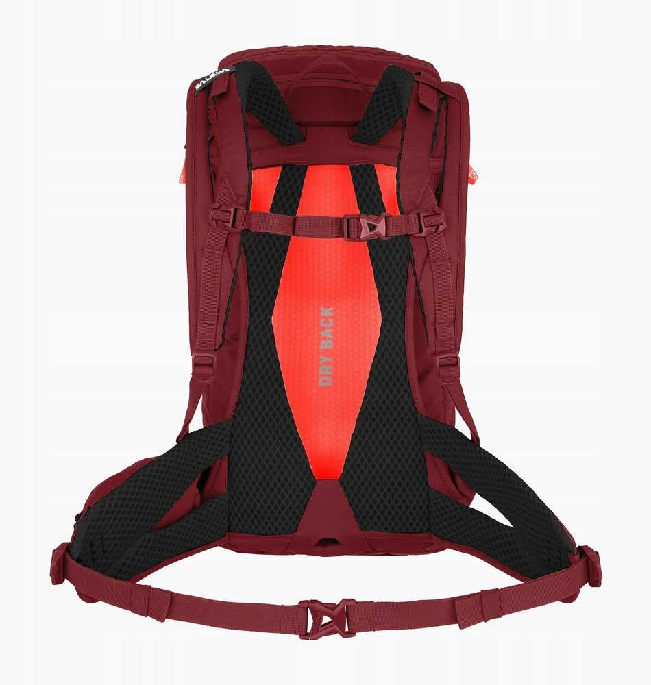 SALEWA „Alp Trainer 20“ moteriška „Syrah“ kuprinė