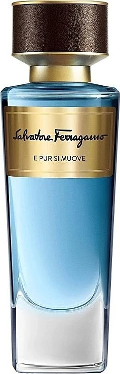 Salvatore Ferragamo E Pur Si Muove EDP parfumuotas vanduo unisex, 100 ml