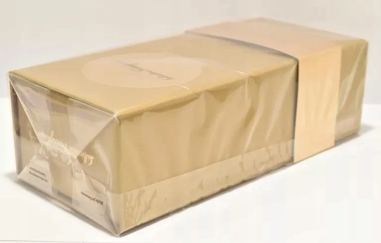 Salvatore Ferragamo E Pur Si Muove EDP parfumuotas vanduo unisex, 100 ml