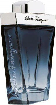 Salvatore Ferragamo Subtil Pour Homme EDT tualetinis vanduo vyrams, 50 ml
