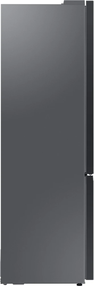 Šaldytuvas Samsung RB38C7B6D12/EF