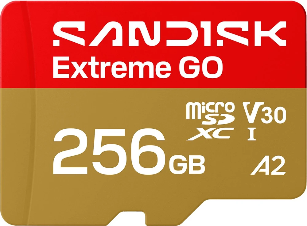 Atminties kortelė SanDisk Extreme GO 256 GB Micro SDXC UHS-I