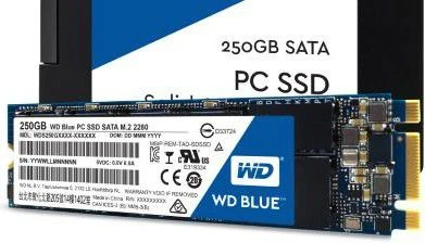 Sandisk Dysk SSD WD Mėlyna 250GB M.2 2280 SATA III (WDS250G1B0B)
