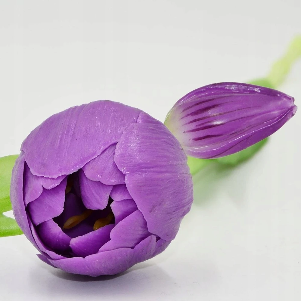 Saska Garden 50 cm violetiniai bijūniniai tulpės