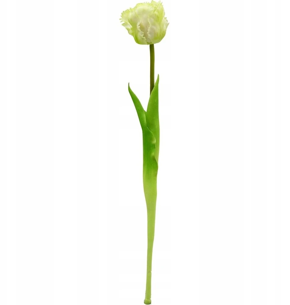 Saska Garden baltas tulpės dekoracija 38 cm