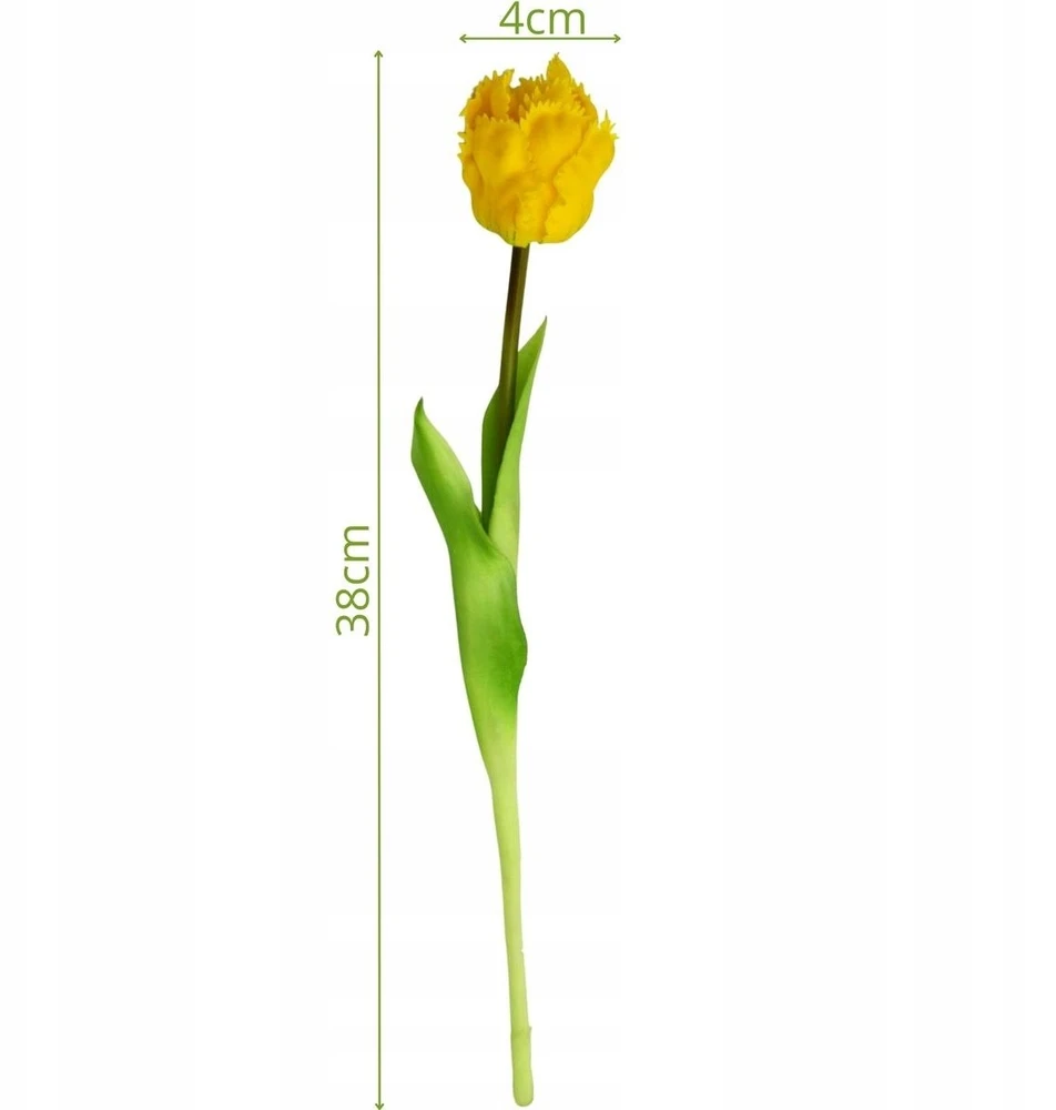 Saska Garden Geltona tulpė 38 cm kaip natūrali