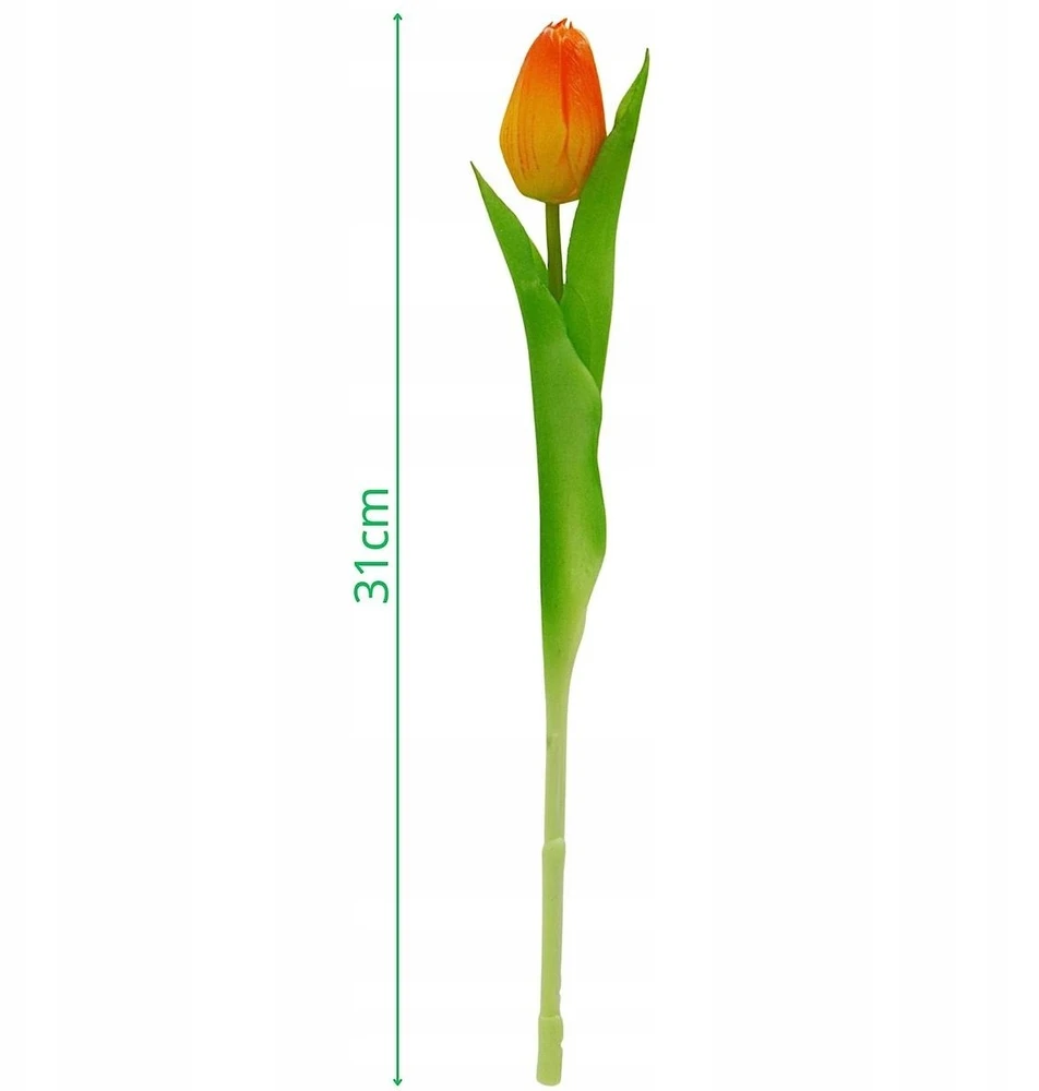 Saska Garden Oranžinis tulpės dekoratyvinis 31 cm