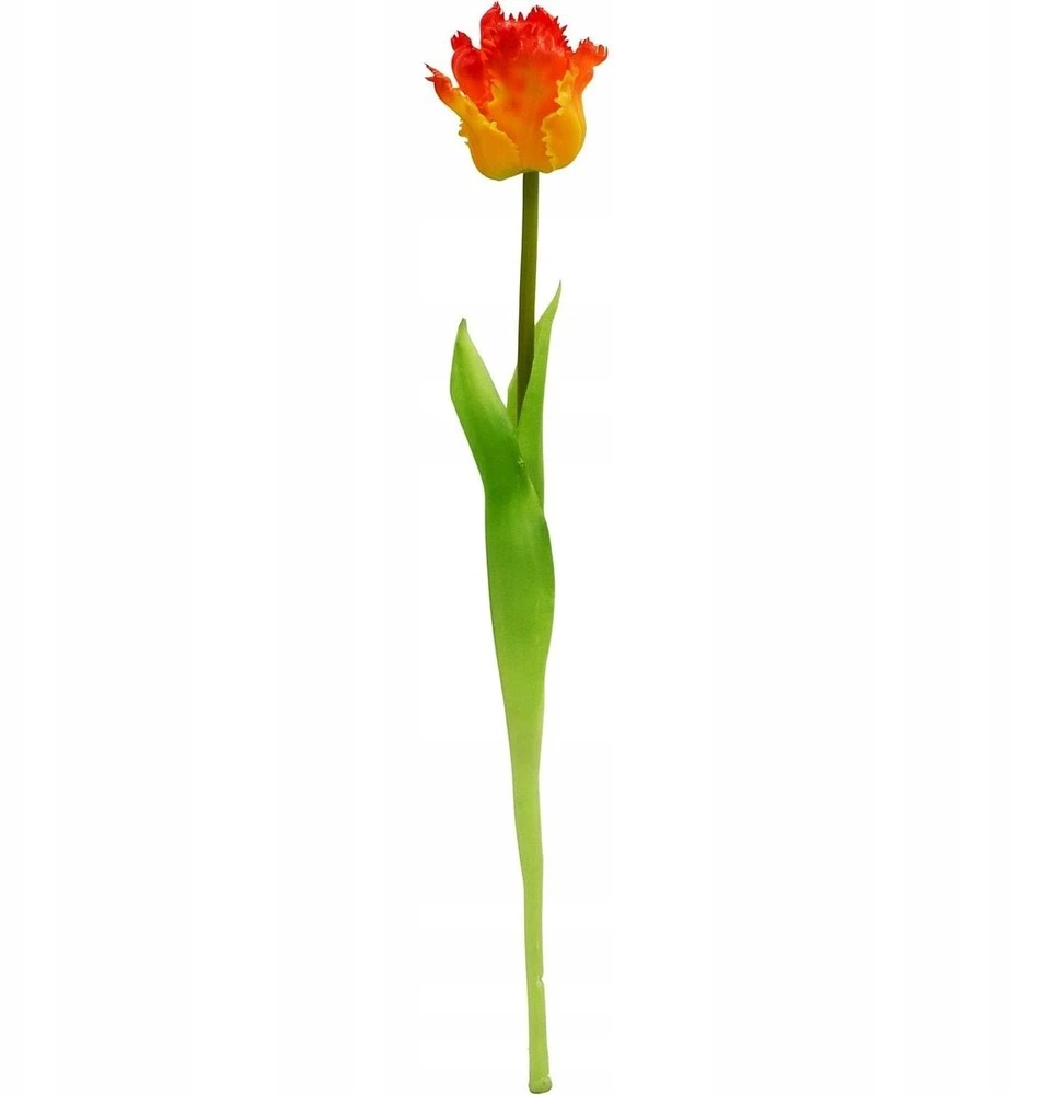 Saska Garden Oranžinis tulpės dekoracija 38 cm