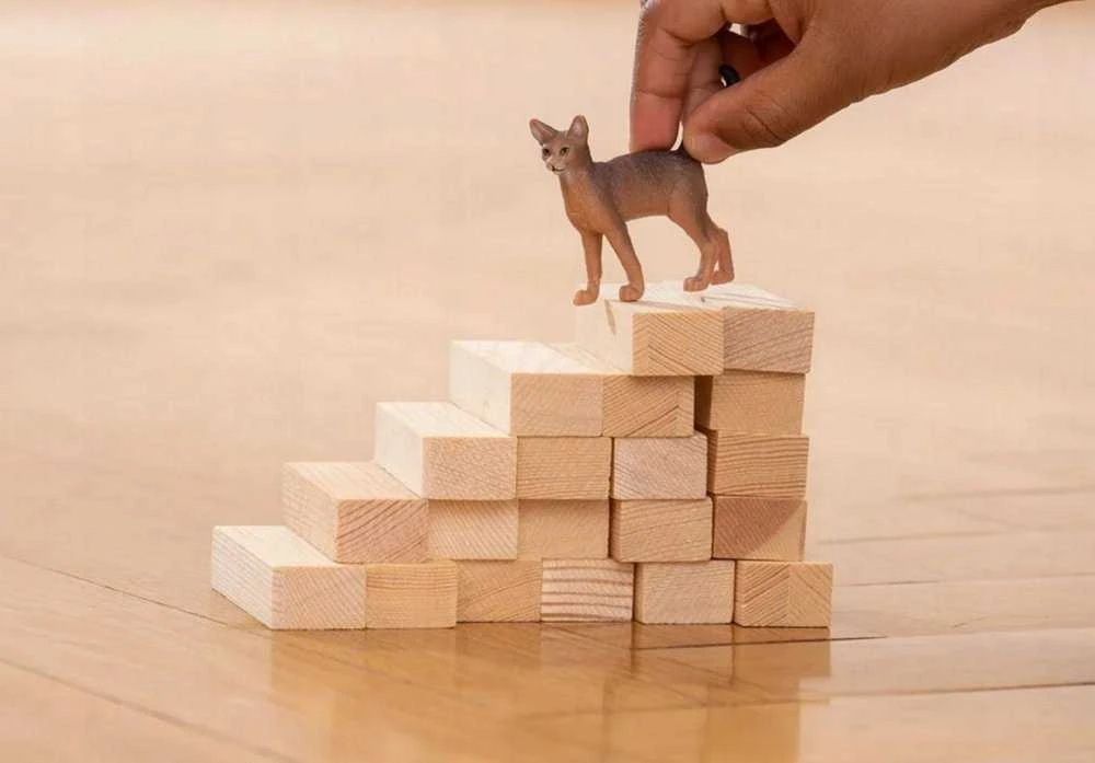 Schleich figūrėlė Abisinijos katė
