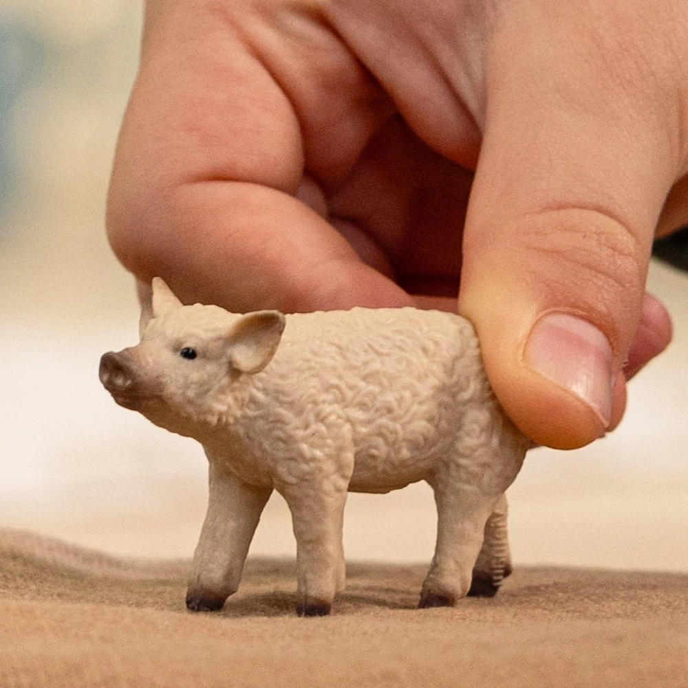Collecta SCHLEICH FARM WORLD Vengrų Mangalica veislės paršelis