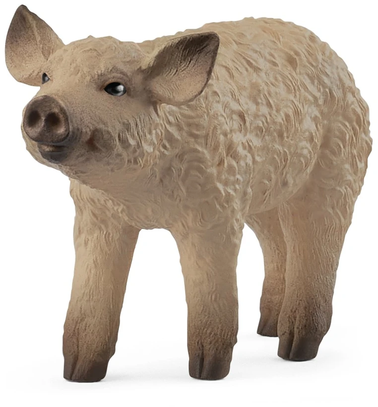 Collecta SCHLEICH FARM WORLD Vengrų Mangalica veislės paršelis