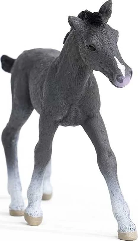 SCHLEICH „Arklių klubas“ figūrėlė - Trakėnų veislės kumeliukas