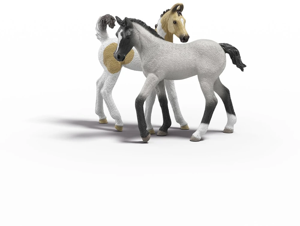 Schleich Sarahs pirmosios pagalbos rinkinys (42777)