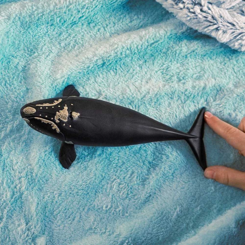 Schleich figūrėlė Pietinis tikrasis banginis aprašymas - Prekės nuotrauka