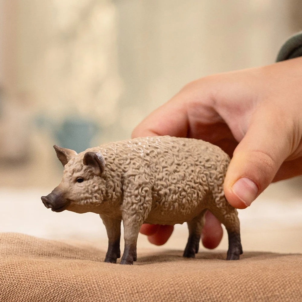 Collecta SCHLEICH FARM WORLD Vengrų Mangalica veislės kiaulė