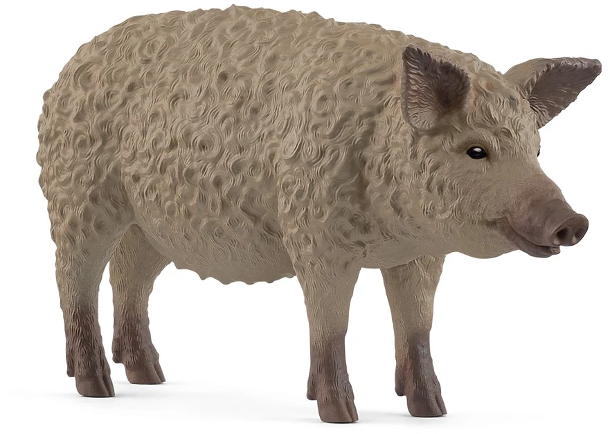 Collecta SCHLEICH FARM WORLD Vengrų Mangalica veislės kiaulė