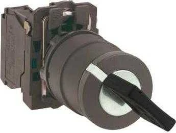 „Schneider Electric“ raktinis jungiklis NO, 2 padėčių, stabilus XB5AG21
