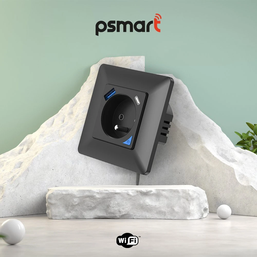 Schneider Electric T410U PSMART Smart išmanusis lizdas juodas Wi-Fi TUYA su matavimu USB+USB-C