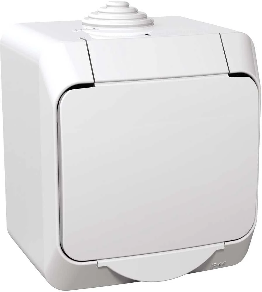 Kištukinis lizdas SCHNEIDER CEDAR PLUS, IP44