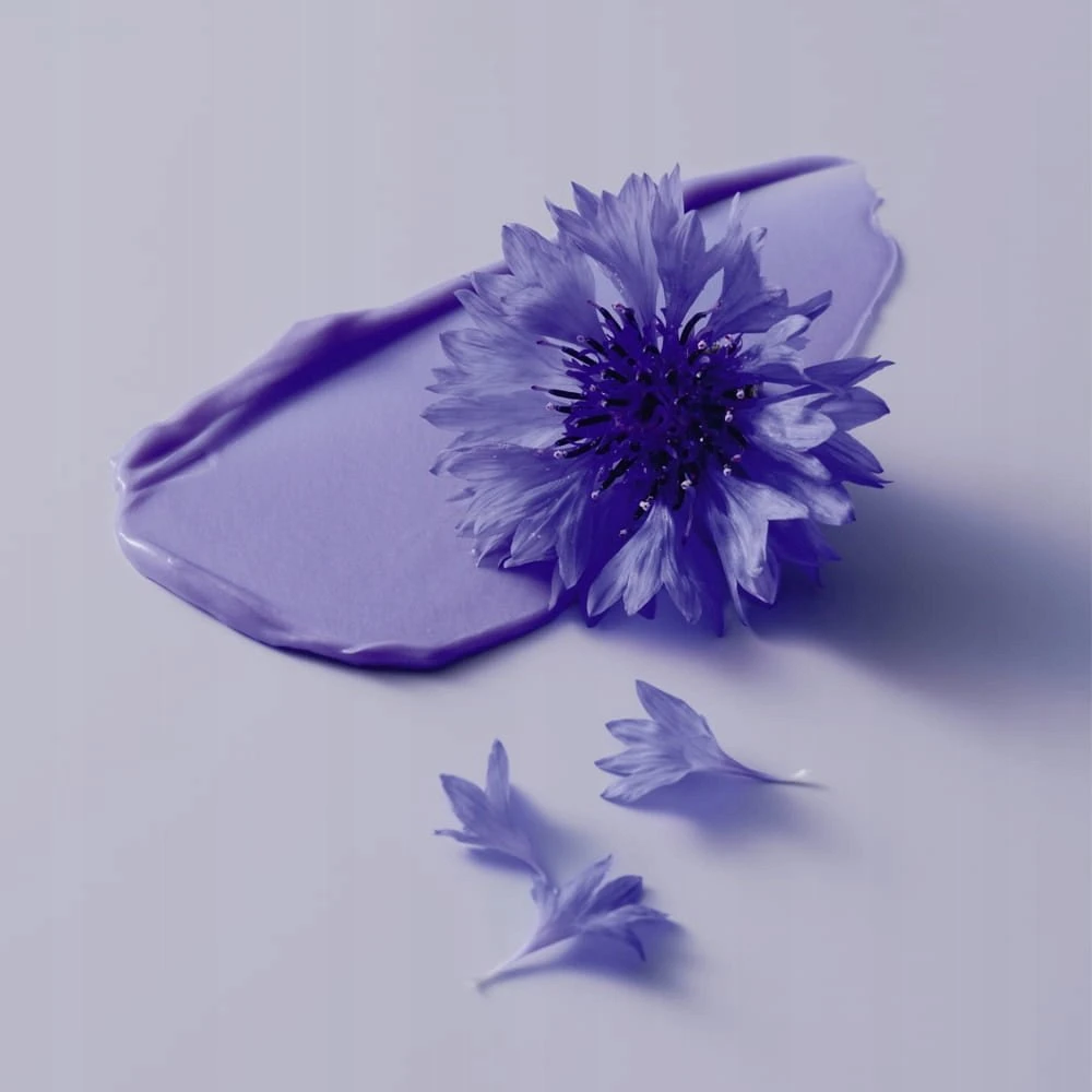 Schwarzkopf Professional BlondMe Bond Repair Violetinė Šampūnas šampūnas šviesiems plaukams, 300 ml