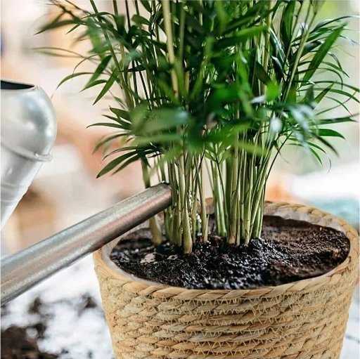 Ledų kibirėlis SECRET DE GOURMET 203209 21,5x20,5 cm