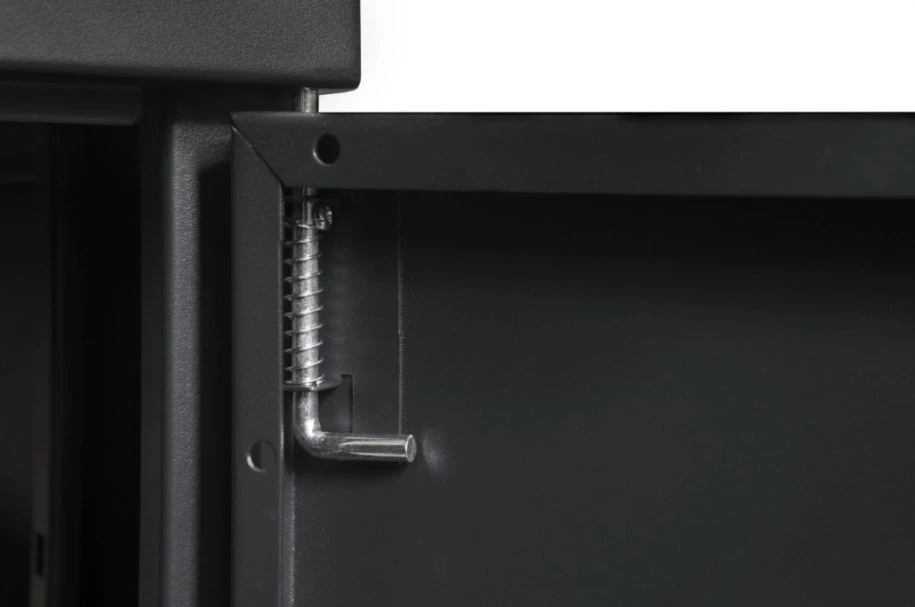 SecurityNET spintelė sieninė RACK 19 9U 600x450x503 CCSW-0604-09U